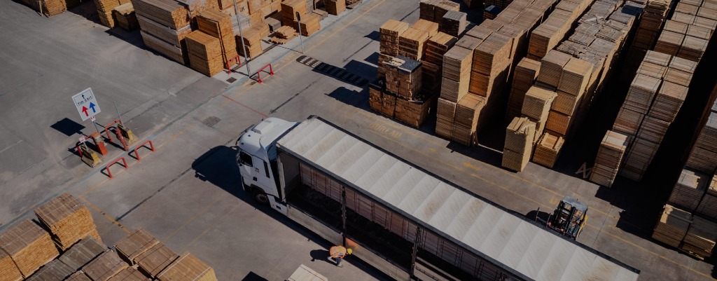 Iniziativa green della Sacchi Pallets – un pioppeto al posto del nulla in un  territorio povero di verde
